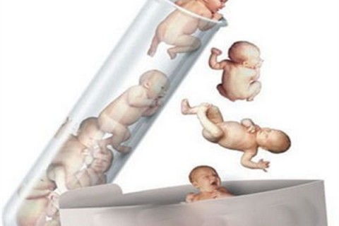 http://chengdu.dacou.net/post/194.html|成都新闻中心